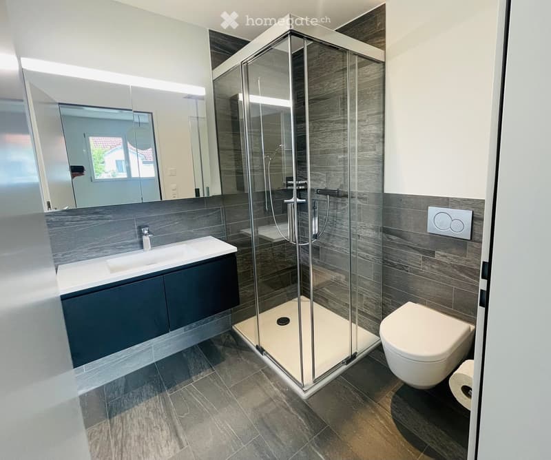 Modern bathroom with a glass-enclosed shower, a white sink with dark cabinetry, a toilet, and a large mirror above the sink.