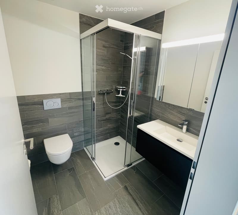 Modern bathroom with dark grey tiles, a glass-enclosed shower, a white toilet, a white sink with a dark cabinet, and a mirror above the sink.