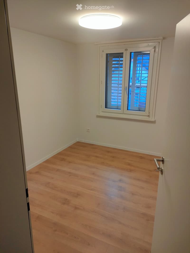 Empty room, hardwood floors, a window with shutters, white ceiling lamp