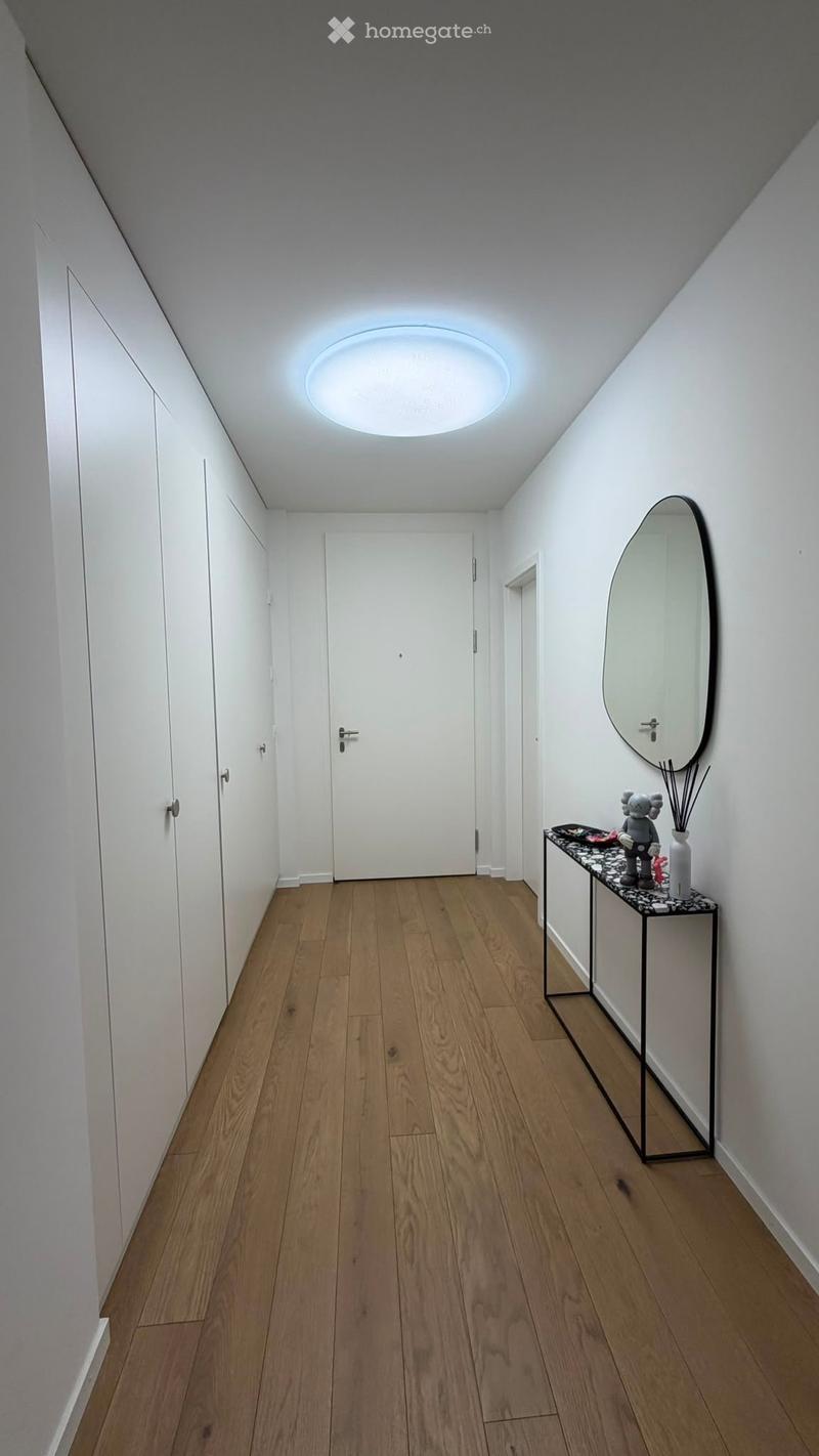 Modern hallway with wooden flooring, white walls, built-in cabinets, and a round ceiling light. A small black table holds a mirror, vase, and decorative items.