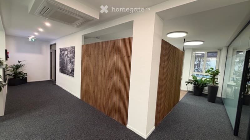 Modern hallway with grey carpeting, white walls, wooden panel partitions, and potted plants on either side.