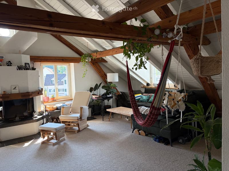 Cozy living room with exposed wooden beams, a fireplace, a sofa, a hanging chair, a small table, and several potted plants.