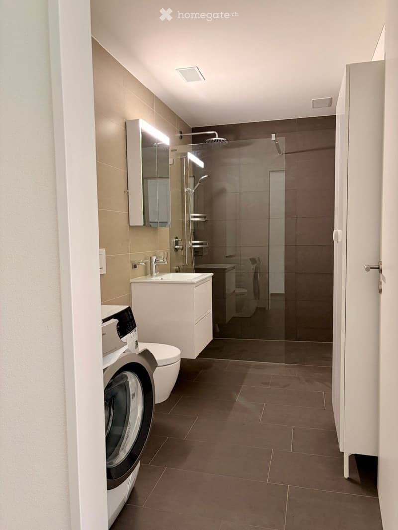 Modern bathroom with a white sink, mirror, glass-enclosed shower, toilet, and a private washing machine. The space features beige tiles and a sleek, contemporary design.
