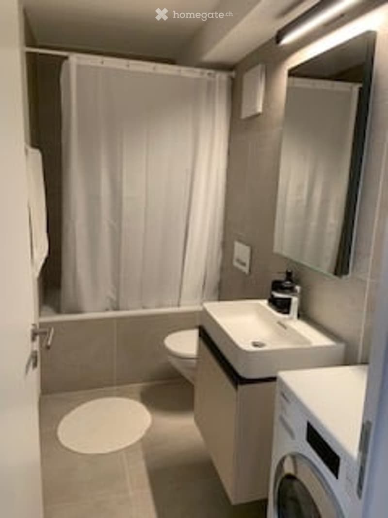 Modern bathroom with a bathtub, toilet, sink, mirror, and a washing machine in the corner.