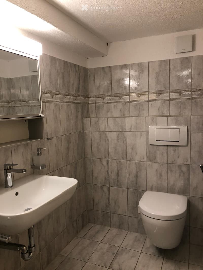 Modern bathroom with grey tiled walls and floor, white sink with chrome faucet, toilet, mirror, and light switch.