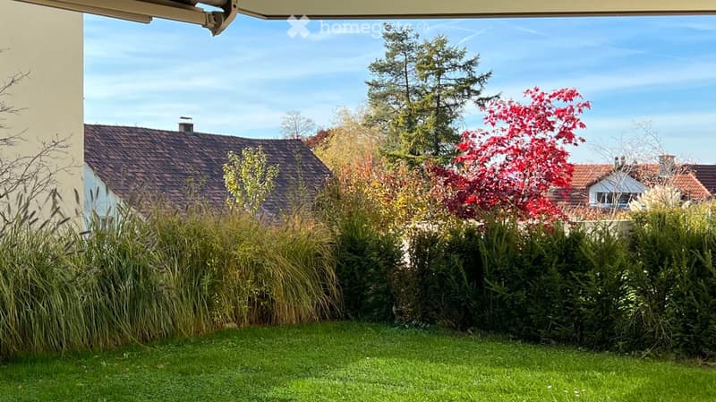 Well-maintained garden with a variety of plants, shrubs, and trees, including a prominent red maple tree, surrounded by a grassy lawn and neighboring houses in the background.