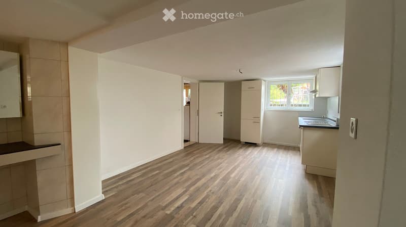 Empty kitchen with wooden flooring, white cabinets, and a sink, no furniture or appliances present.