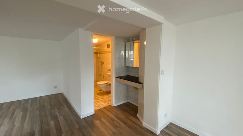 A narrow hallway with wooden flooring and white walls, leading to a small bathroom with a toilet, sink, and shower area.