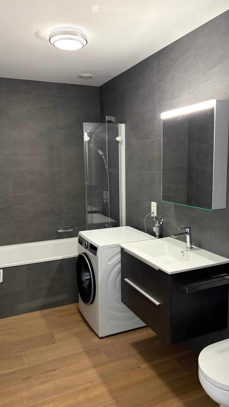 Modern bathroom with dark tiled walls, a bathtub, a sink with a modern faucet, a large mirror, a washing machine, and a toilet. Features include a glass-enclosed shower and recessed lighting.
