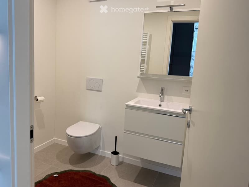 Modern bathroom with white walls, a toilet, a sink with a mirror, a cabinet, and a small red rug on the floor.
