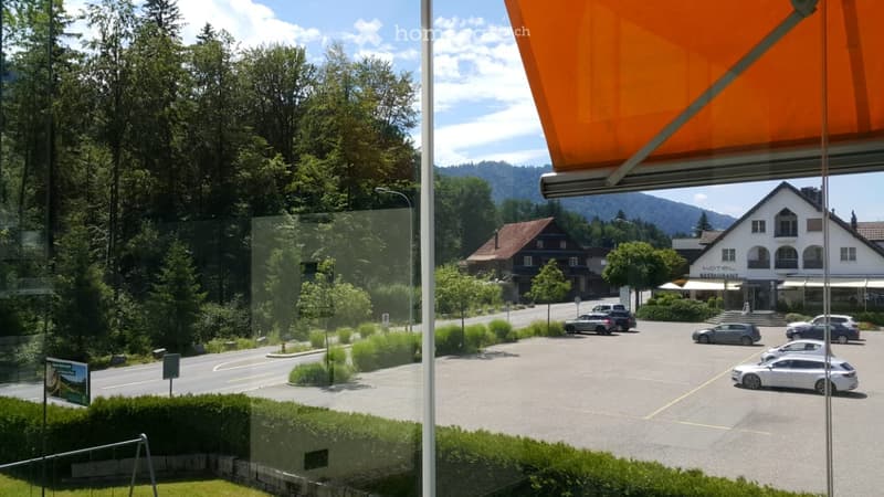 View from a hotel balcony showing a parking lot with several cars, a road, and a scenic view of a forested area with mountains in the background. A large hotel building is visible in the distance.