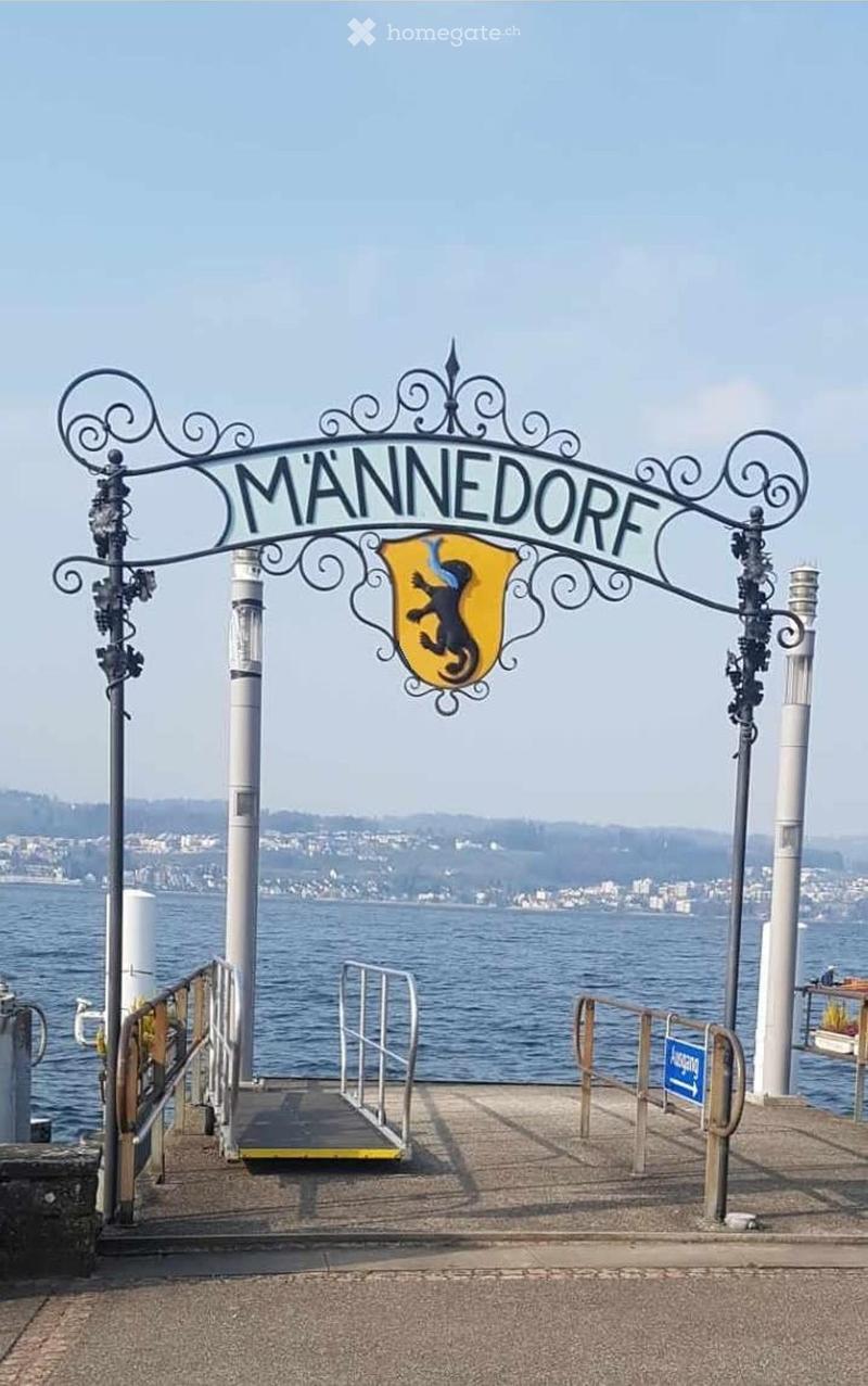 A waterfront promenade with a decorative metal archway labeled "M’ANNEDORF" and a coat of arms, overlooking a body of water with distant cityscape.