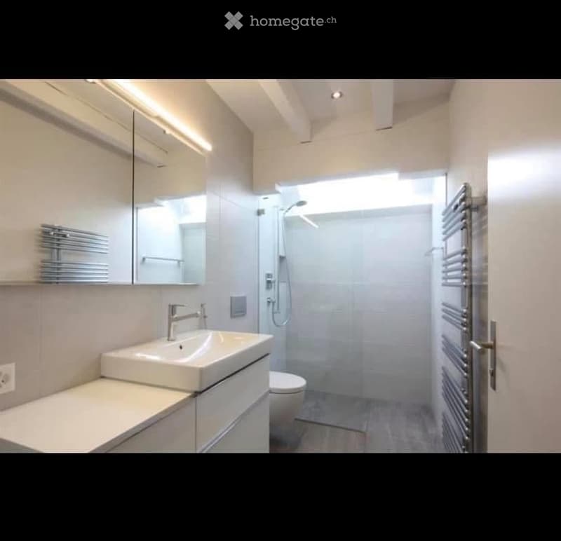 Modern bathroom with a white sink, mirror, toilet, and a glass-enclosed shower. Features a built-in radiator and sleek, contemporary design.