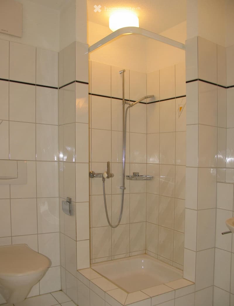 Modern bathroom with white tiled walls, a bathtub, a toilet, and a showerhead with a handheld sprayer.