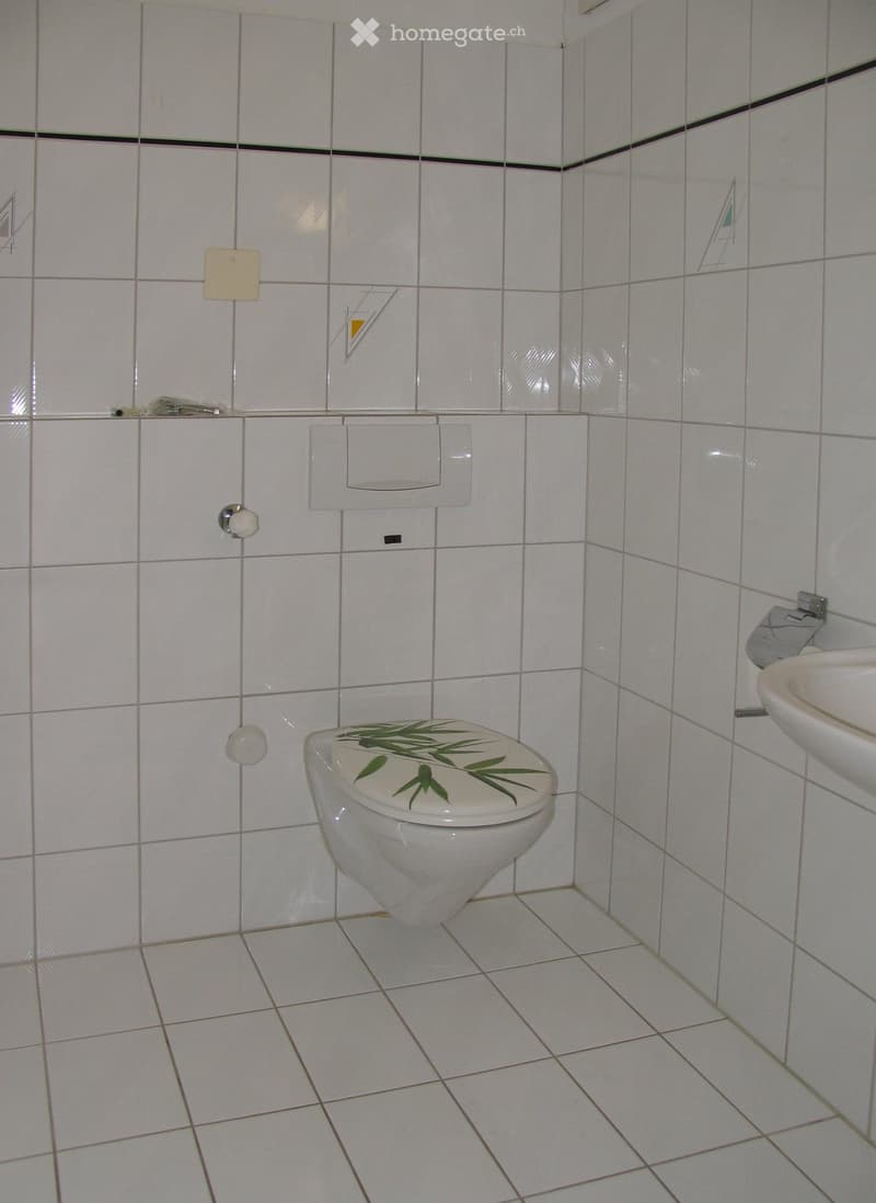White tiled bathroom with a toilet featuring a green leaf design on the lid and a white sink on the right side.
