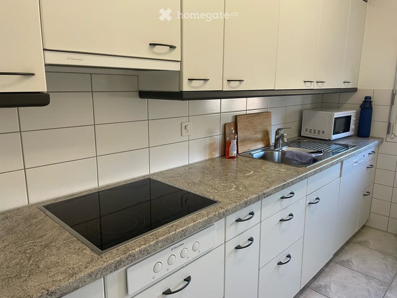 Modern kitchen with white cabinets, granite countertop, induction stove, microwave, and sink.