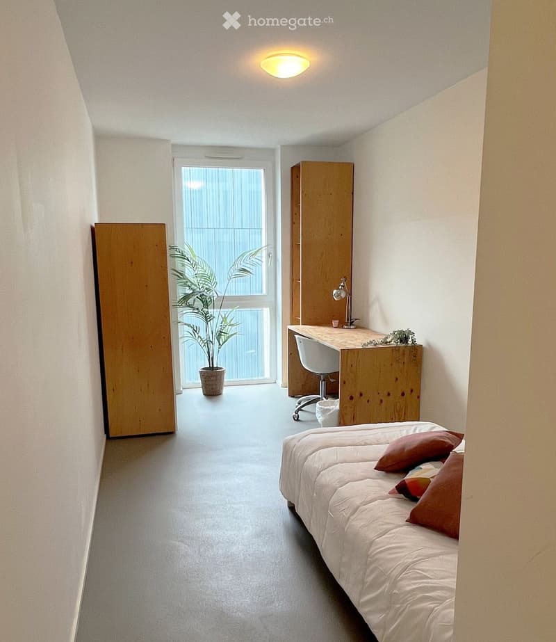 Modern, minimalist bedroom with a single bed, desk, chair, lamp, and potted plant near the window.