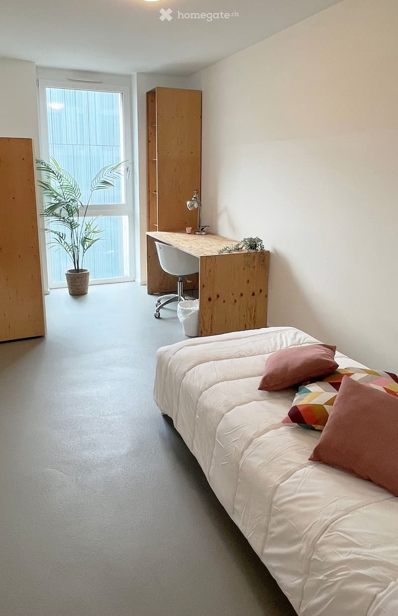 Modern, minimalist bedroom with a white sofa, colorful pillows, a wooden desk, a white chair, a small lamp, a potted plant, and a wooden wardrobe.