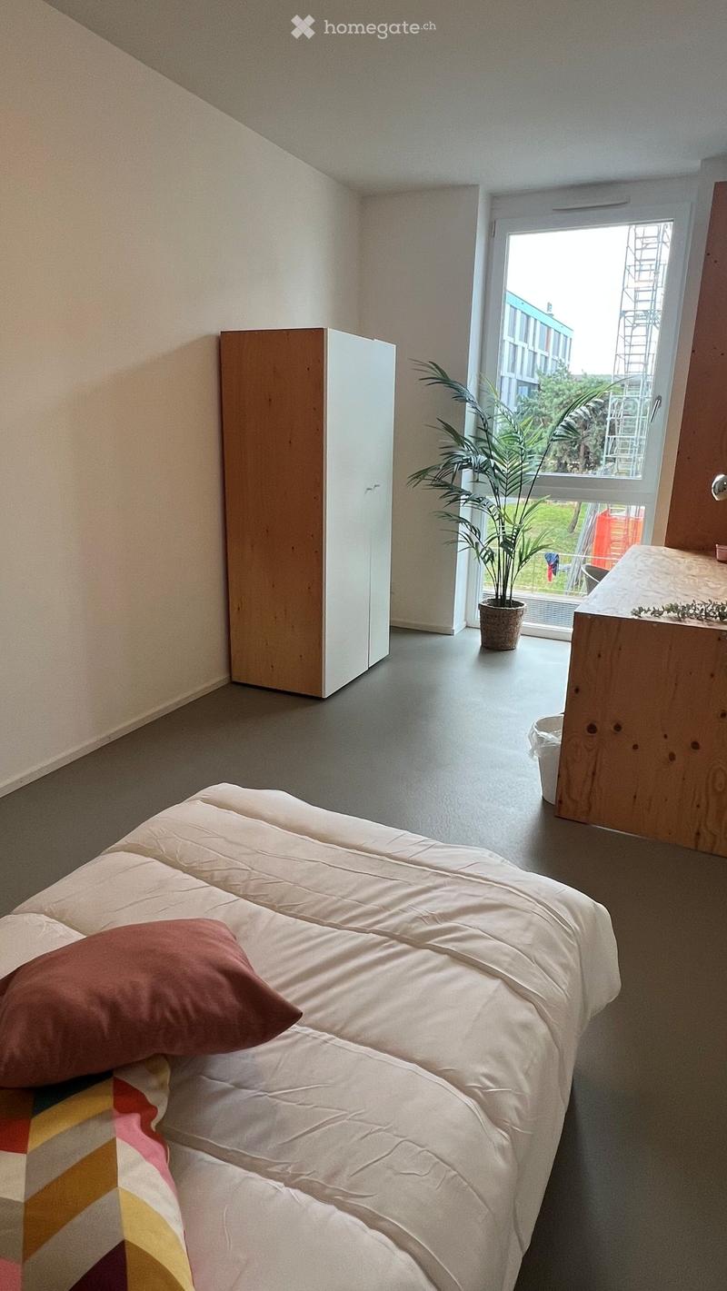A modern, minimalist bedroom with a single bed, a wardrobe, and a potted plant near the window. The room features light-colored walls and a grey floor.