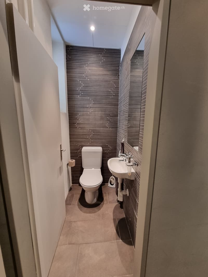 Modern bathroom with dark grey tiled walls, a toilet, a sink with a chrome faucet, and a toilet paper holder.