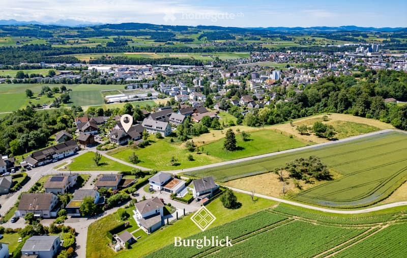 Aerial view of a suburban neighborhood with multiple houses, green fields, and a distant cityscape with mountains in the background.