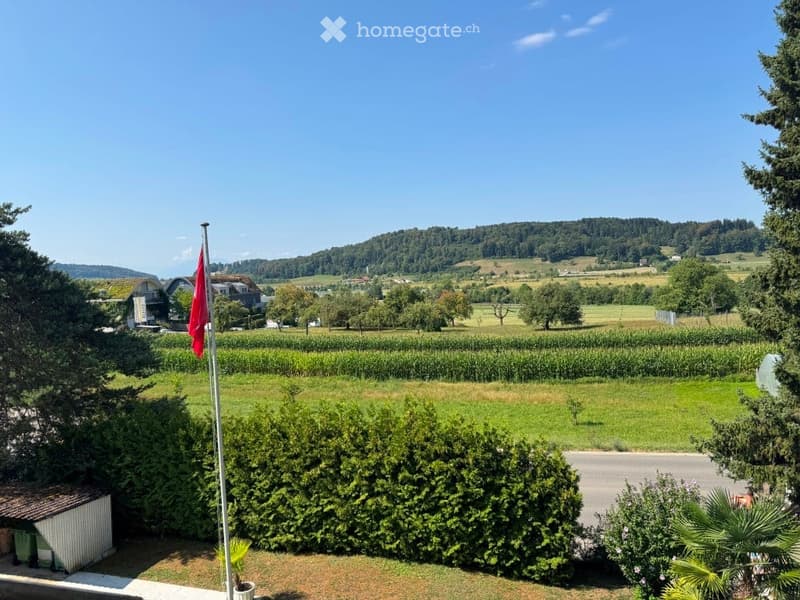 A scenic outdoor view shows a lush green field, trees, and distant hills under a clear blue sky. A flagpole with a red flag is visible in the foreground, along with a small shed and some bushes.