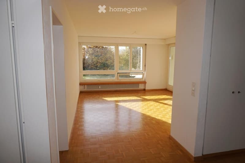 Empty room with wooden flooring, large windows, and white walls. No furniture or equipment present.