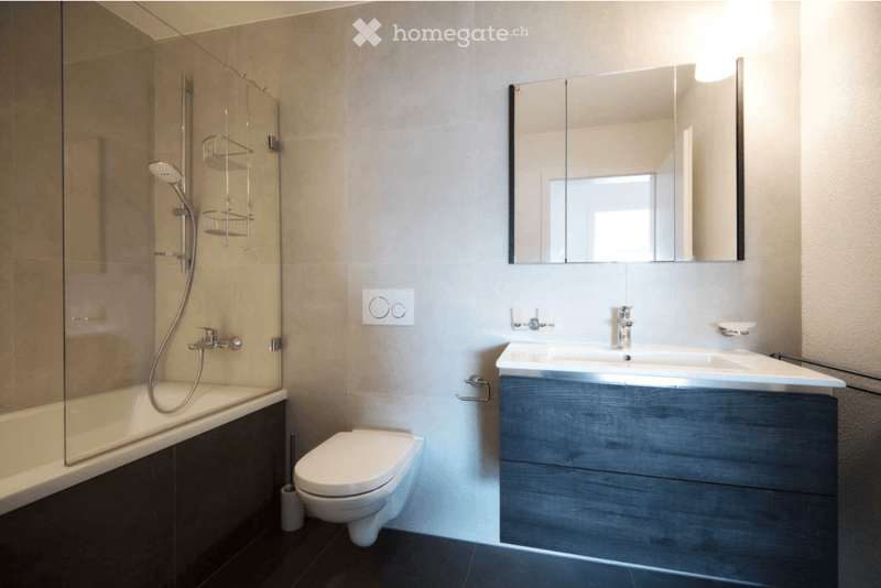 Bathroom with glass shower enclosure, bathtub, toilet, mirror cabinet, washbasin, and towel rack.