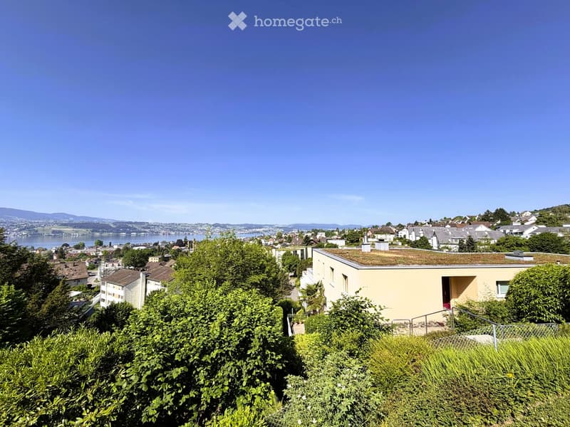 A modern house with a flat roof and a small garden, surrounded by lush greenery and overlooking a scenic lake and town.