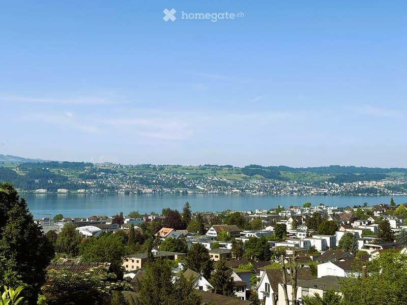 A panoramic view of a town with numerous houses, trees, and a large lake in the background under a clear blue sky.