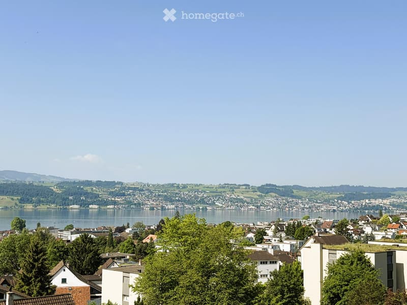 Panoramic view of a town with houses, trees, and a lake in the background under a clear blue sky.