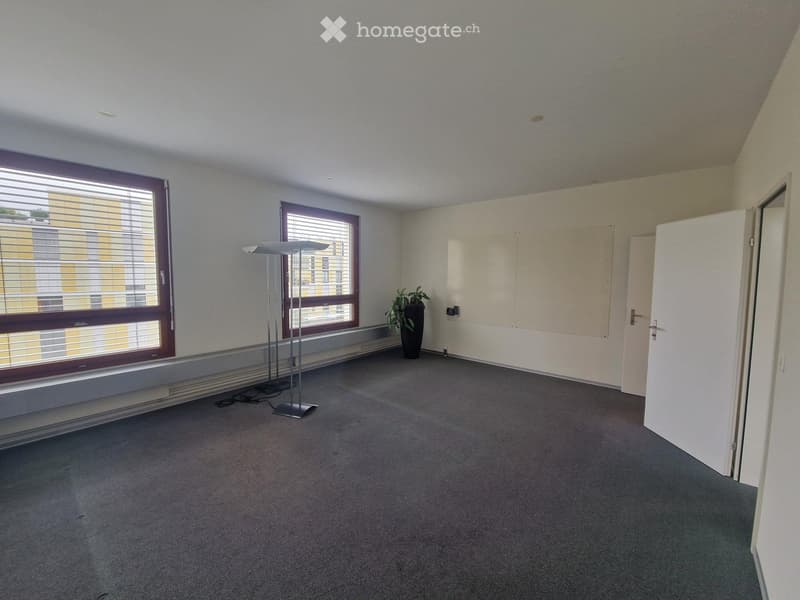 Empty room with carpeted floor, two windows with blinds, a floor lamp, and a small plant in a pot near the windows.