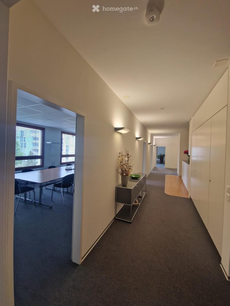 Modern hallway with carpeted floor, white walls, and built-in storage units. Features a small console table with a vase and bowl, and an adjacent room with a conference table and chairs.
