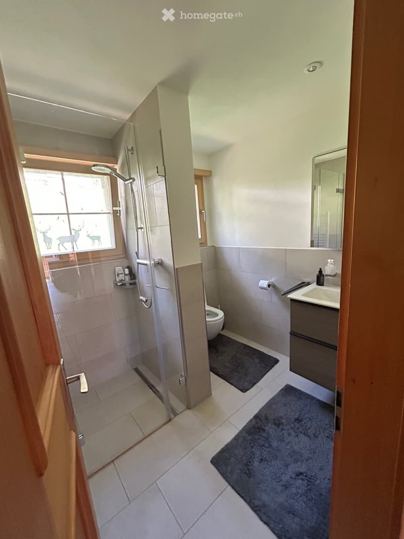 Modern bathroom with a glass-enclosed shower, toilet, sink with a mirror, and a dark-colored bathroom rug. The shower has a modern design with a glass door and a decorative window with deer silhouettes.