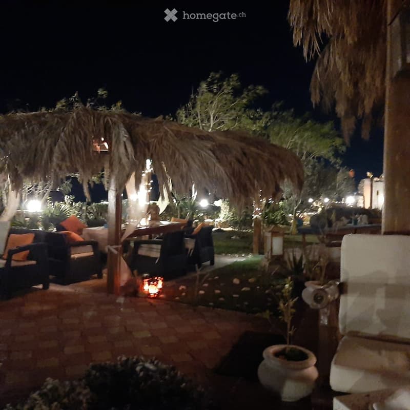 An outdoor seating area with a thatched-roof structure, featuring a sofa, chairs, a table, and potted plants, illuminated by ambient lighting.