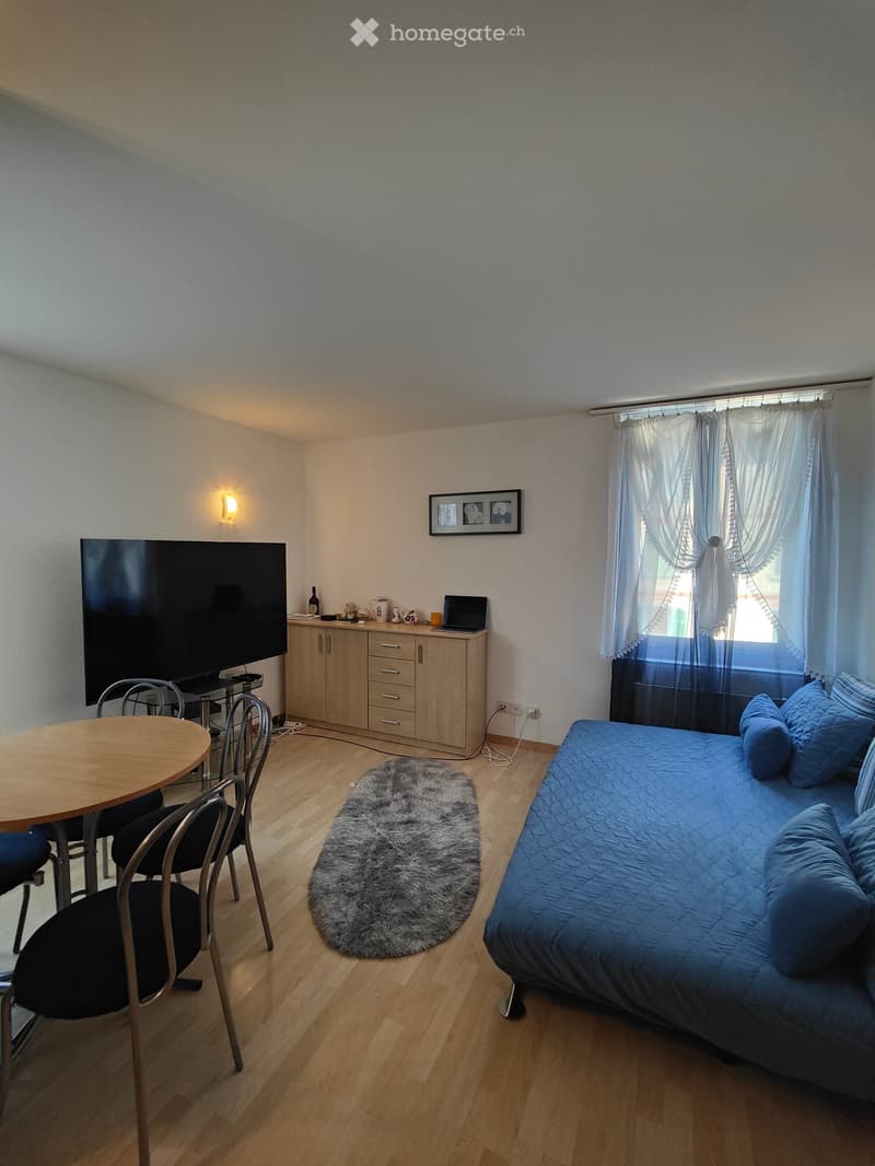 A compact, well-lit room with a sofa, a small dining table with chairs, a shag rug, a cabinet with a laptop, and a television mounted on the wall.