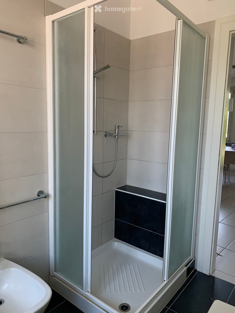 Modern bathroom with a glass-enclosed shower stall, a built-in shower seat, a handheld shower hose, and a sink visible to the left.