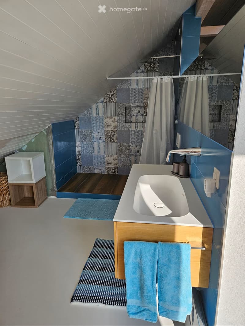 Modern bathroom with a white sink, sleek faucet, blue towels, and a glass-enclosed shower area with patterned tiles.