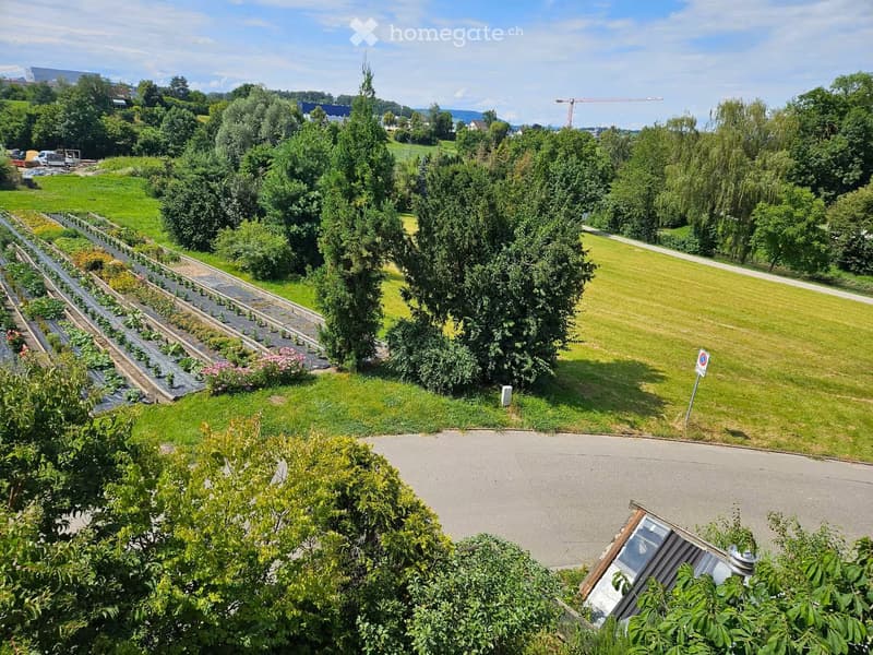 A well-maintained garden area with rows of plants, a large grassy lawn, and surrounding trees. The area includes a paved pathway and a small structure, likely a shed or greenhouse, visible in the foreground.