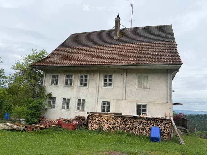 Two-story house with a tiled roof, multiple windows, and a chimney. The house is surrounded by a grassy area with a stack of firewood and some tools.