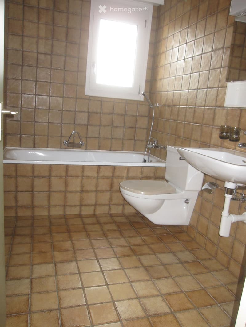 Bathroom with bathtub, toilet, sink, brown tiles, window