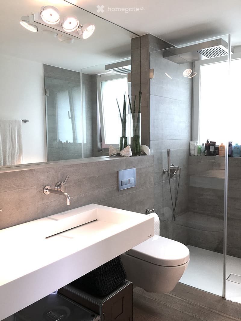 Modern bathroom with a large sink, sleek faucet, mirror with built-in lighting, toilet, glass-enclosed shower, and decorative items on the windowsill.