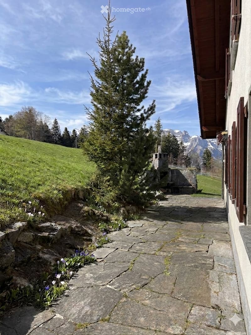 Stone pathway, green grass, pine tree, mountain view