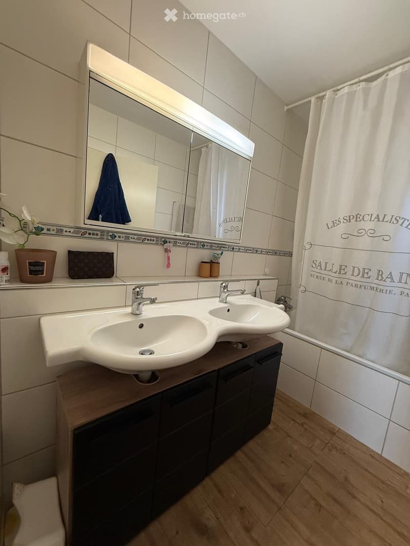 Modern bathroom with double sink, large mirror, wooden cabinet, and decorative items on the counter.