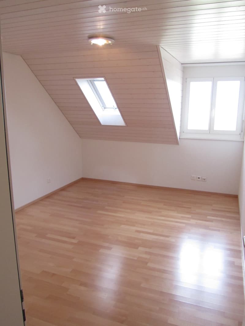 Empty room with wooden flooring, white walls, and a skylight window. The ceiling has wooden paneling and a recessed light fixture.