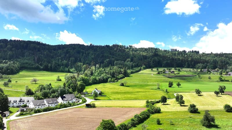 Aerial view of a rural landscape with green fields, scattered houses, and a forested hill in the background.