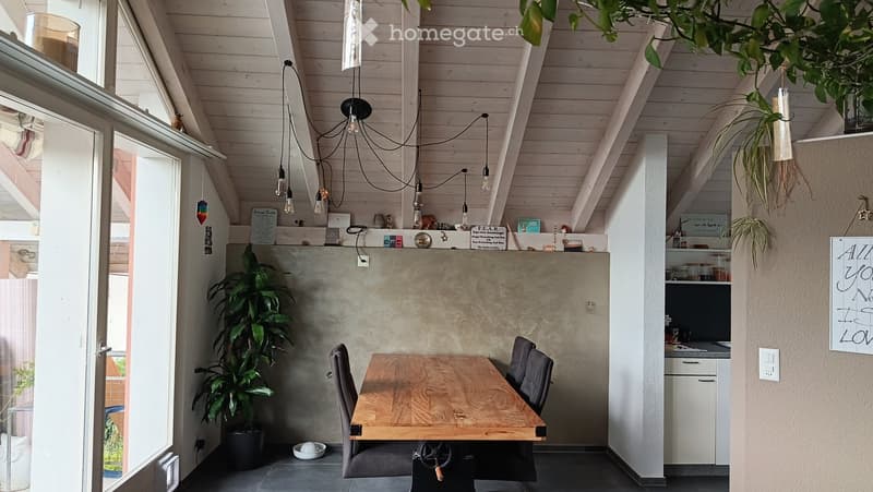 A modern, open-plan dining area with a wooden table, chairs, and a potted plant, connected to a small kitchen area with cabinets and a light fixture.