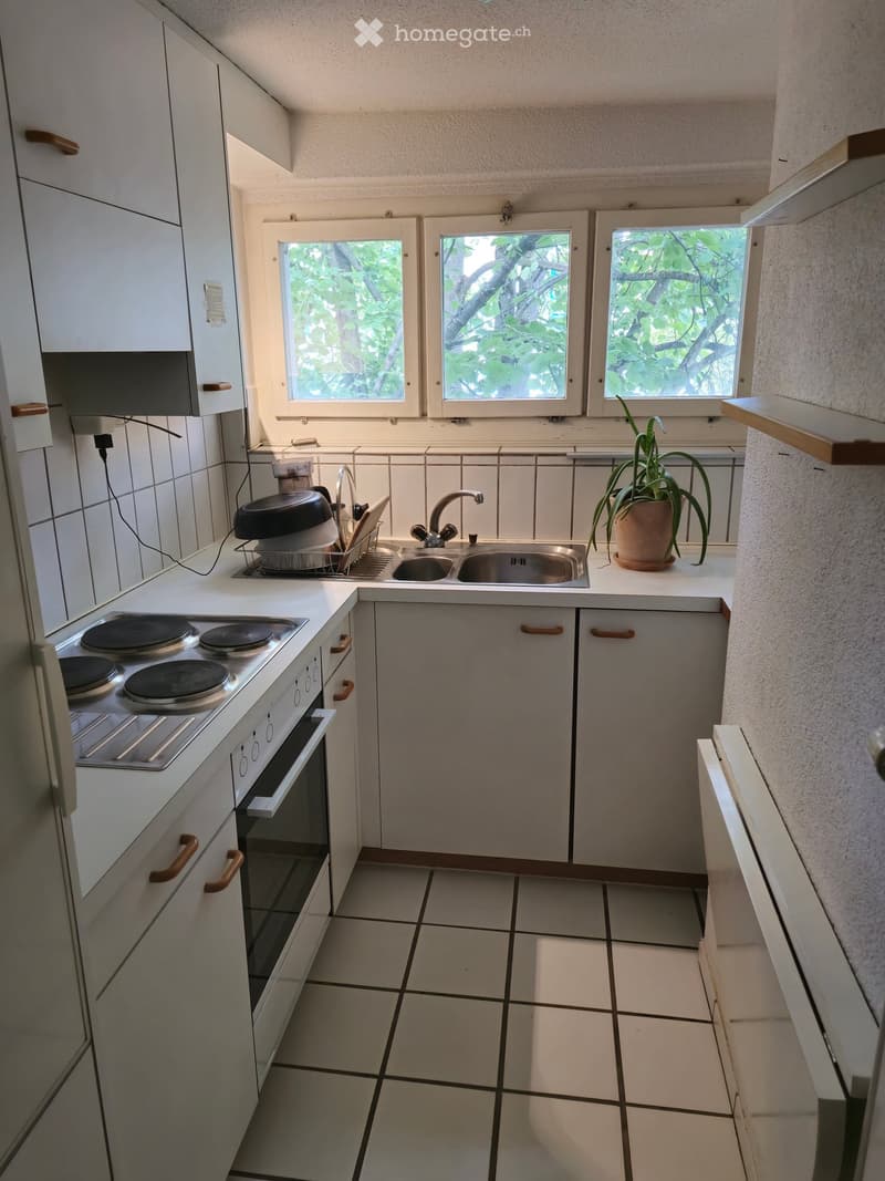 A compact kitchen with white cabinets, a four-burner electric stove, a sink with a faucet, and a dish rack. There is a potted plant on the windowsill and three windows letting in natural light.