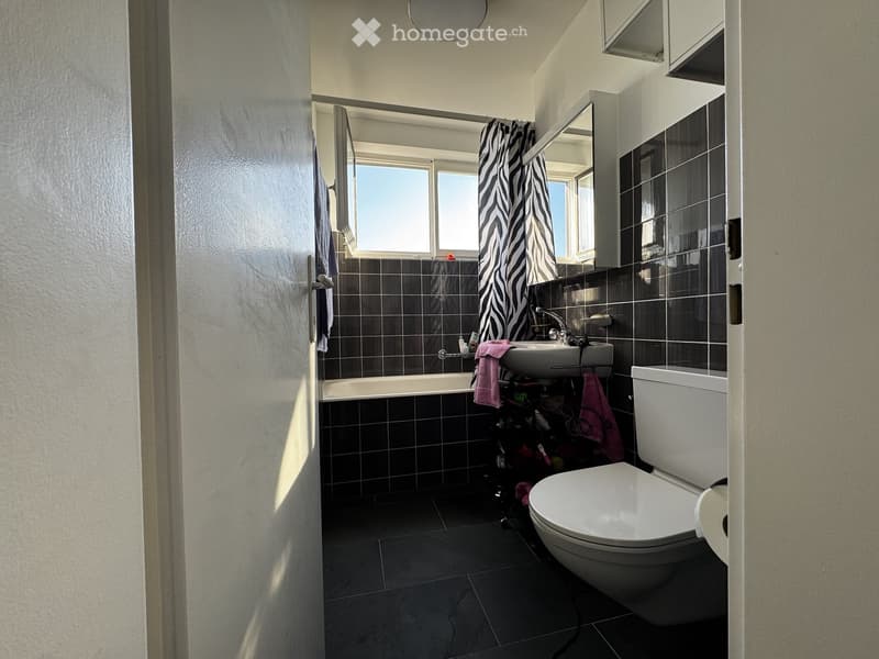 Modern bathroom with dark tiled walls and floor, bathtub, sink, toilet, mirror, and zebra-patterned shower curtain.