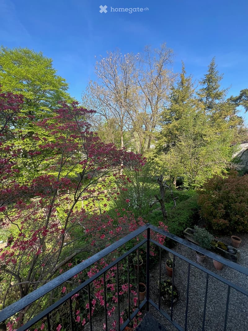 balcony with railing, gravel path, various plants and trees, pink flowers, green grass, clear blue sky